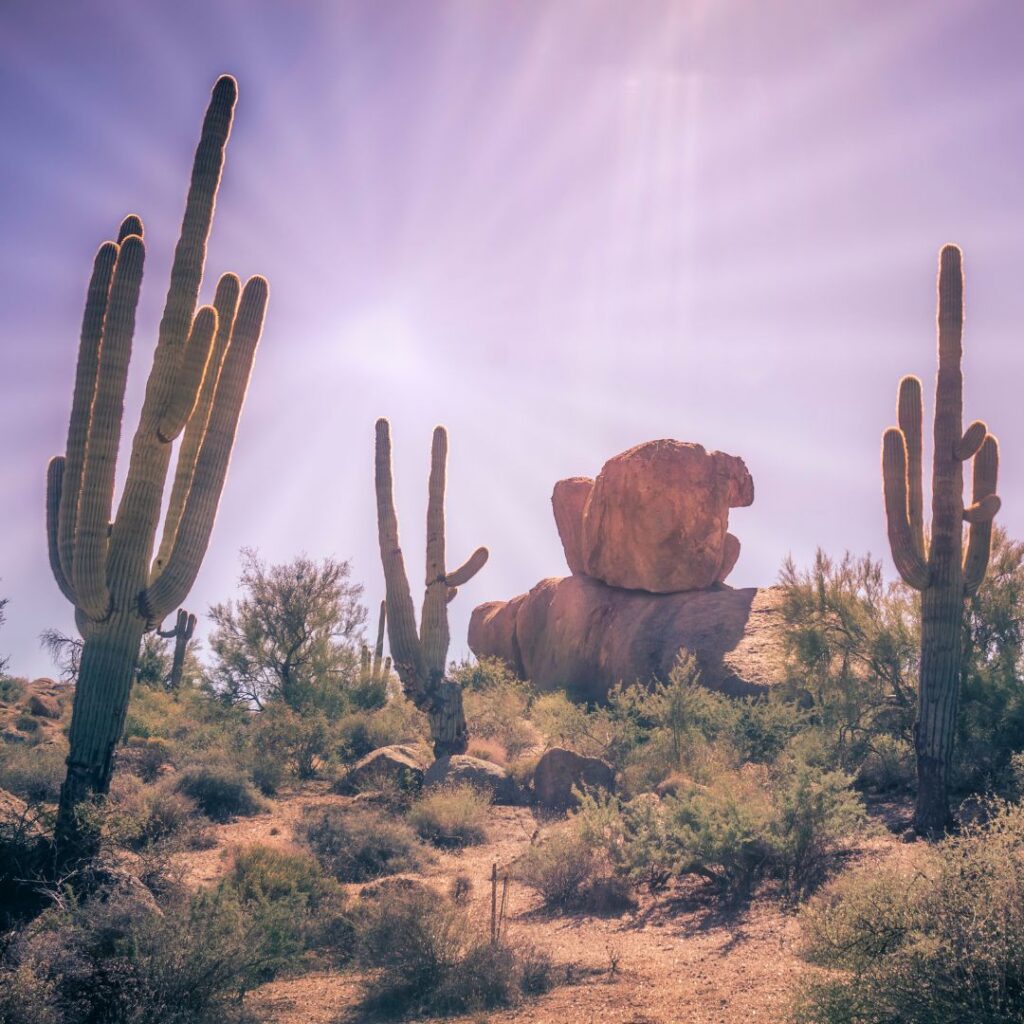 hot Arizona sun over the desert