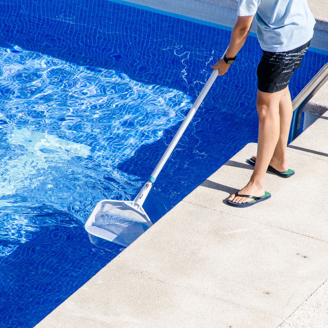 Person skimming a pool with a net