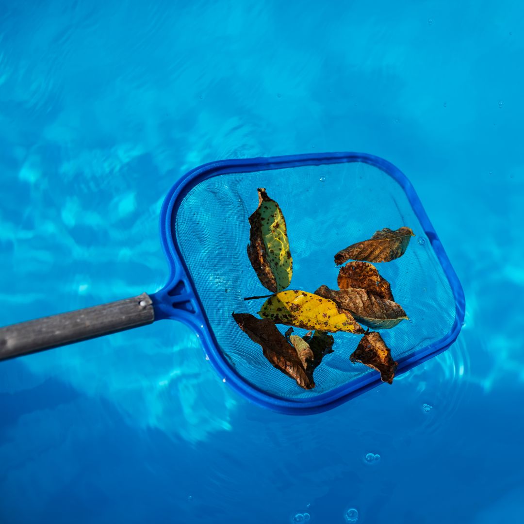 Removing leaves from pool water