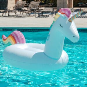 Pool unicron floatie toy.