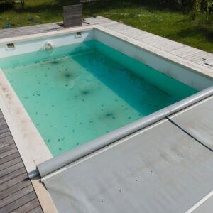 Algae in pool.