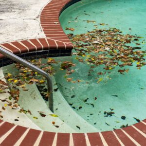 leaves in pool