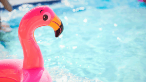 Pool filled with water and pink flamingo floatie.
