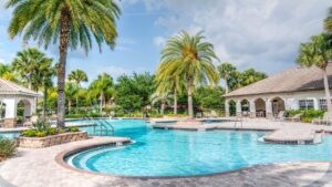pool and palm trees