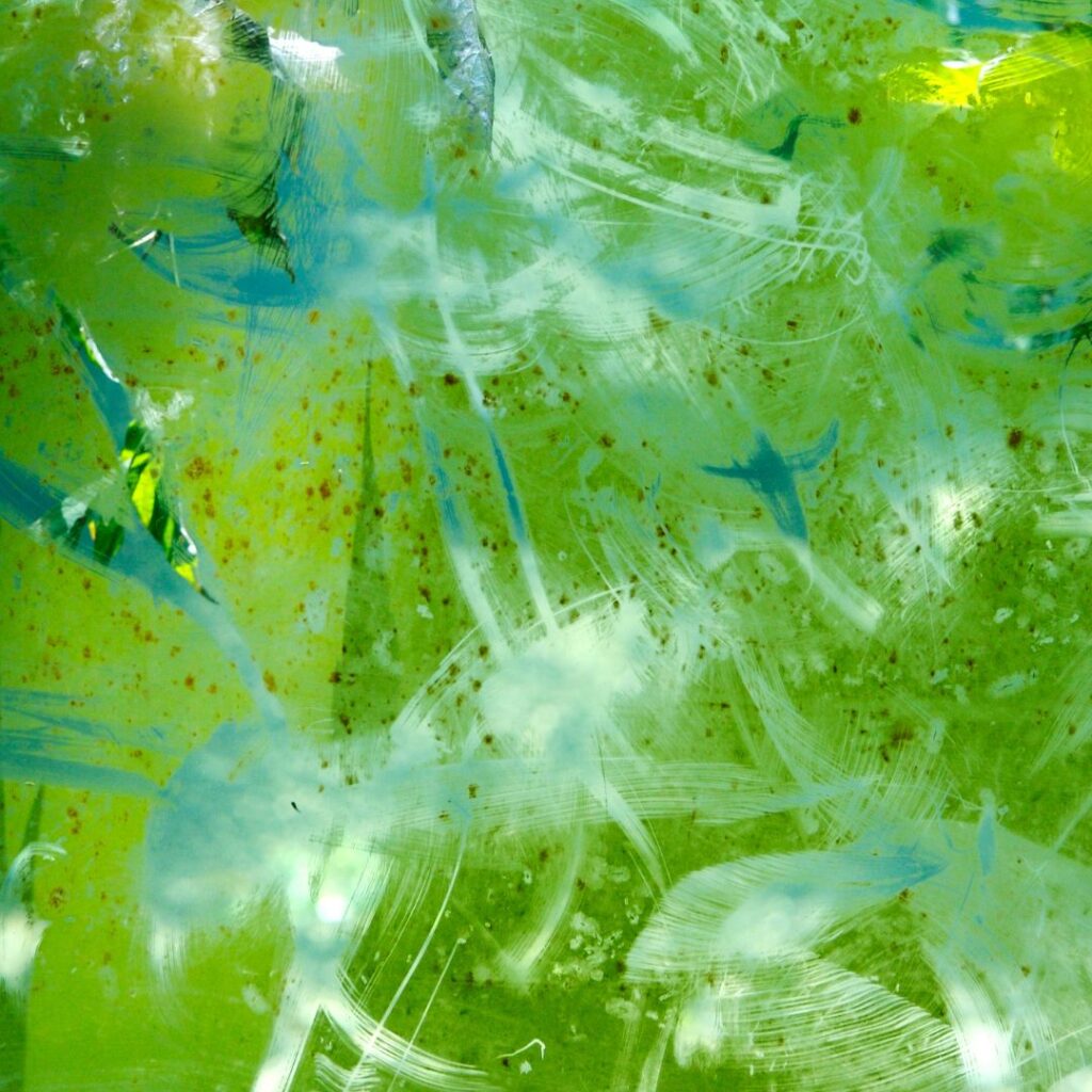 Algae Growth