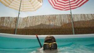 seasonal pool tips